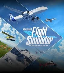 Flight Simulator